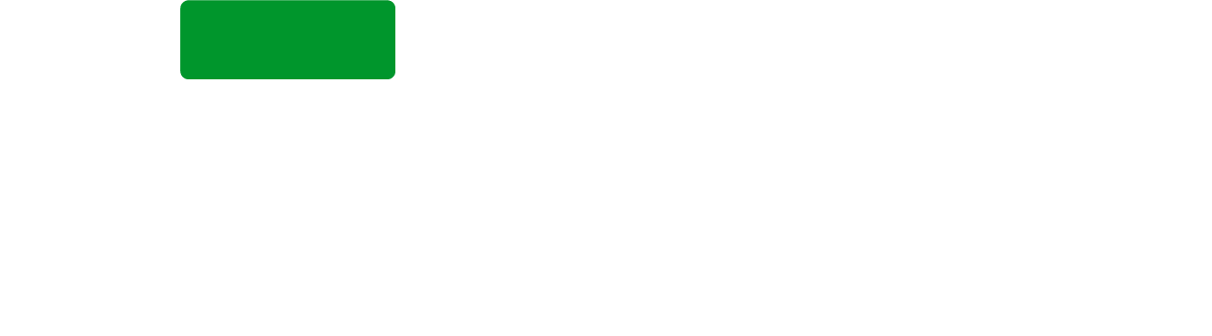 Logo Rokam